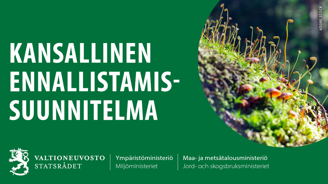 Kansallisen ennallistamissuunnitelman logo vihreällä pohjalla, kurkistusikkunassa metsäsieniä, sammalta ja puita