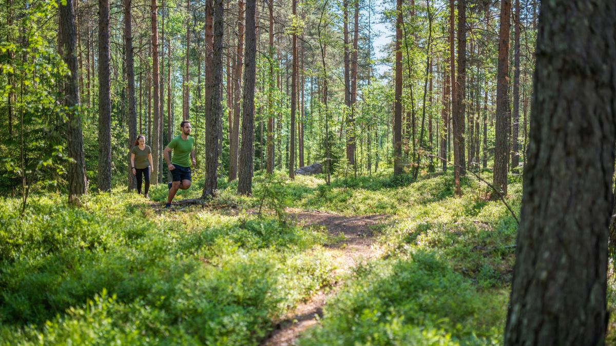 Polkujuoksua kesäisessä metsässä