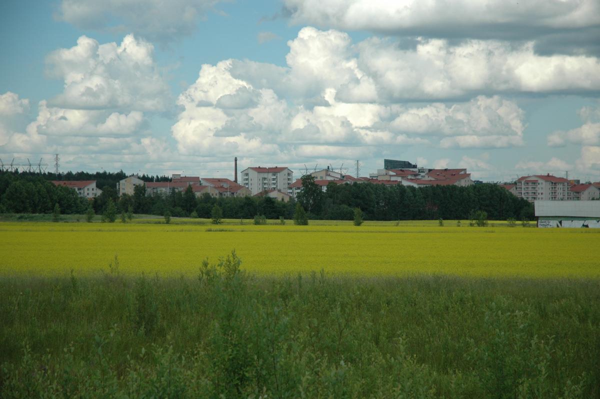 Rypsipelto Vantaalla, taustalla kerrostaloja, toimistoja ja voimalinjoja