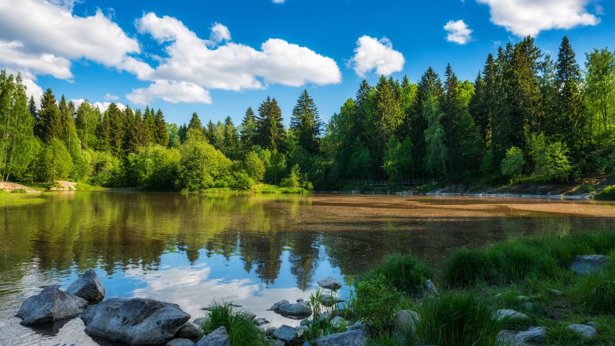 Maisemakuva järven rannalta