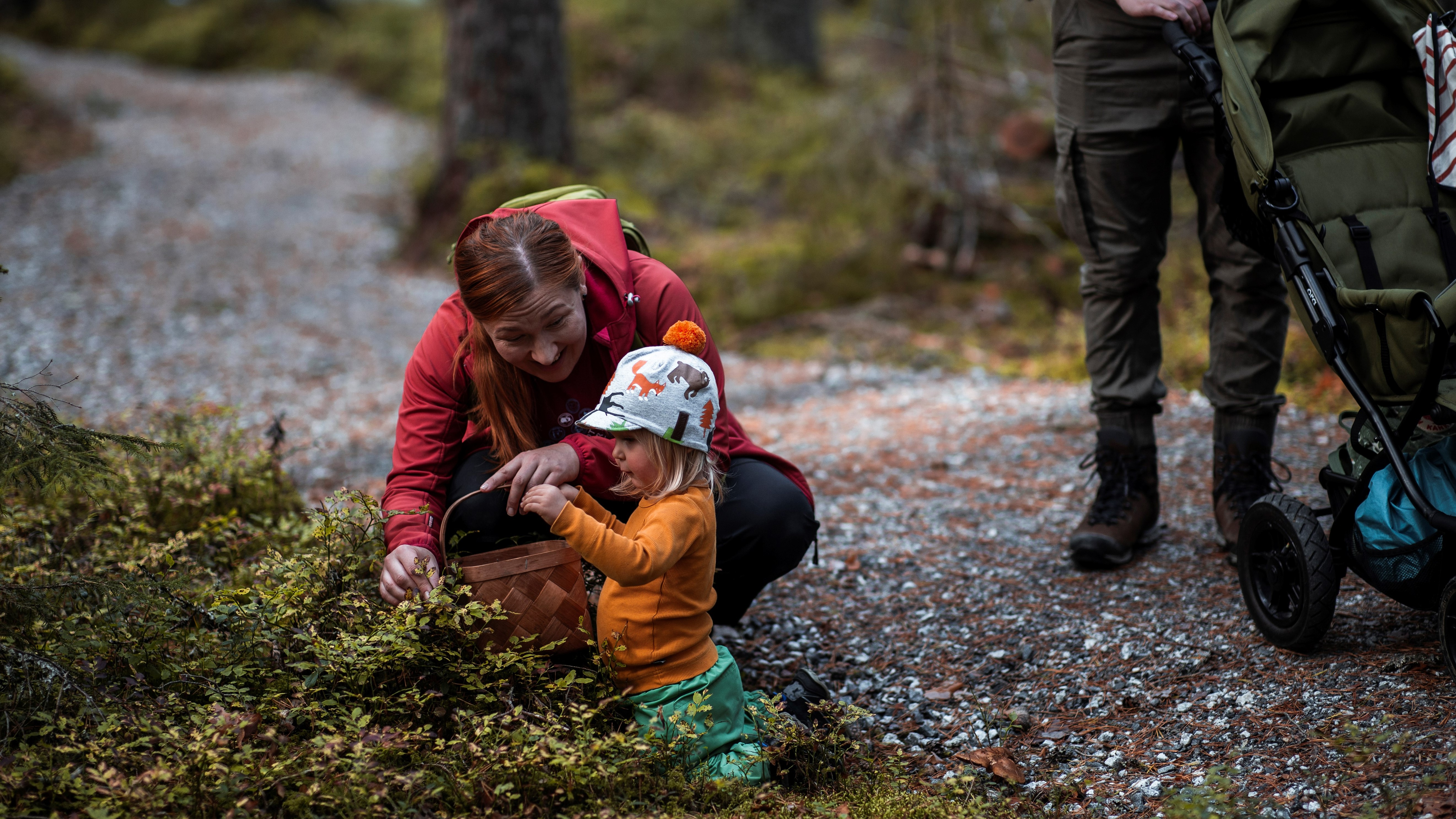 Lapsi ja aikuinen poimivat marjoja, kuva Maarit Vaahteranoksa, Metsähallitus