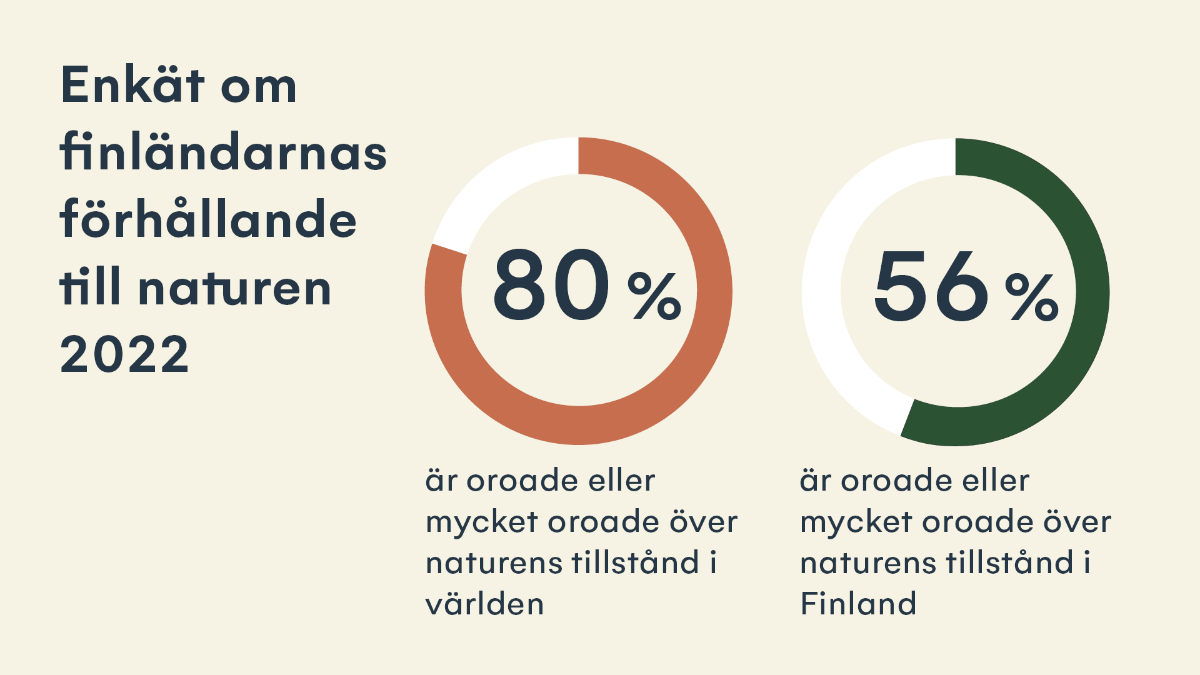 Av finländarna är 56 procent oroade eller mycket oroade över naturens tillstånd i Finland och 80 procent oroade eller mycket oroade över naturens tillstånd i världen.