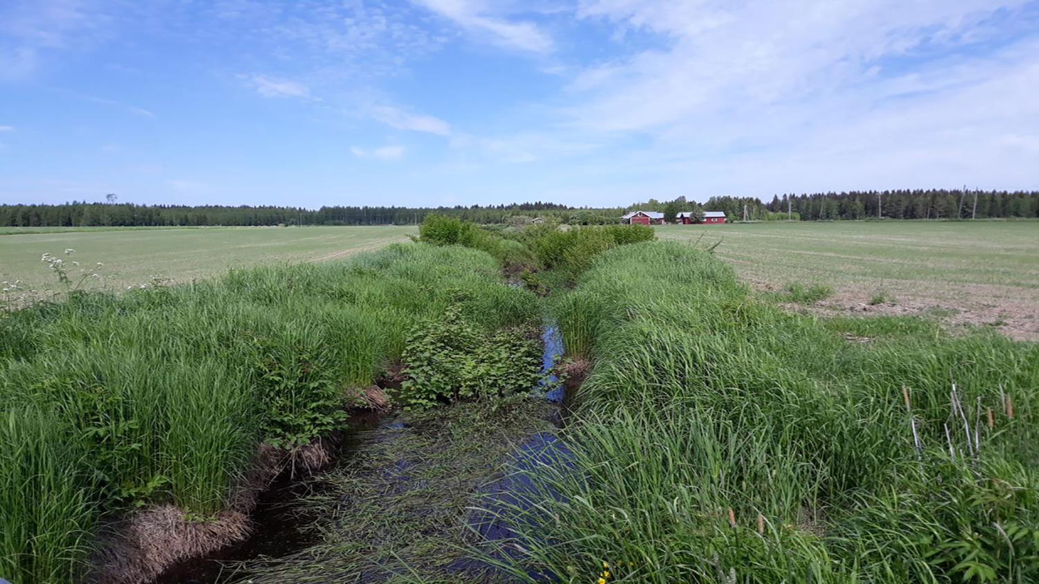 Salinjoen valuma-alueella tarvitaan ratkaisuja peltojen vesitalousongelmiin sekä ravinteiden vesiin pääsyn vähentämiseksi.