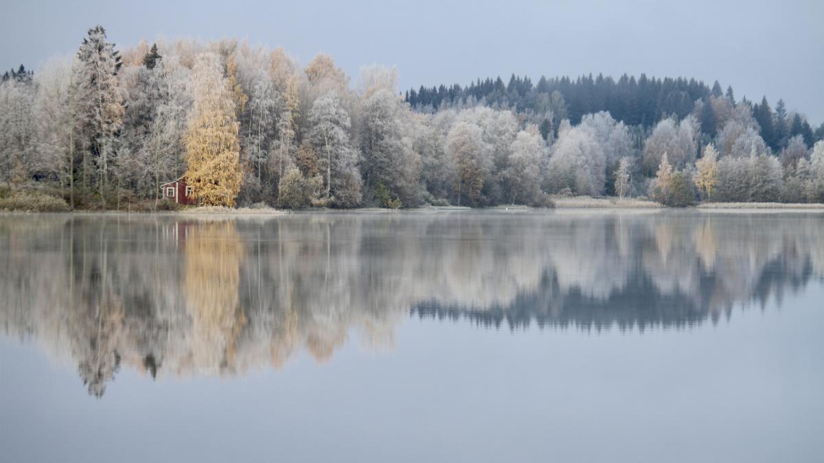 Lake landscape on a frosty autumn morning